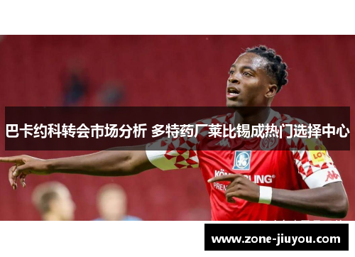巴卡约科转会市场分析 多特药厂莱比锡成热门选择中心