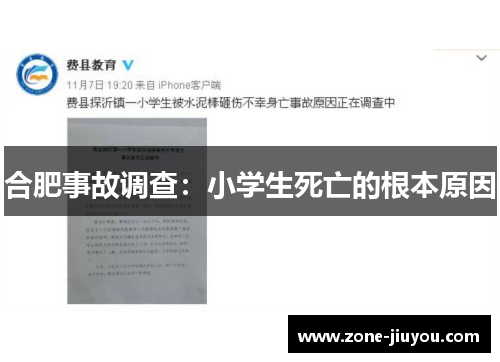合肥事故调查：小学生死亡的根本原因