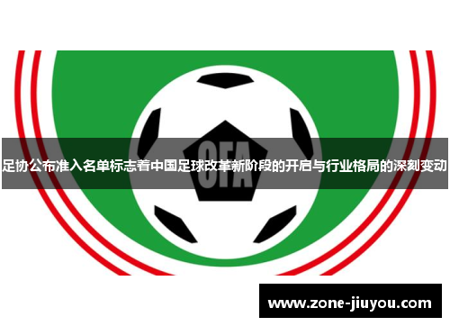 足协公布准入名单标志着中国足球改革新阶段的开启与行业格局的深刻变动