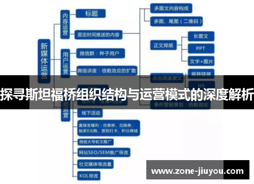 探寻斯坦福桥组织结构与运营模式的深度解析
